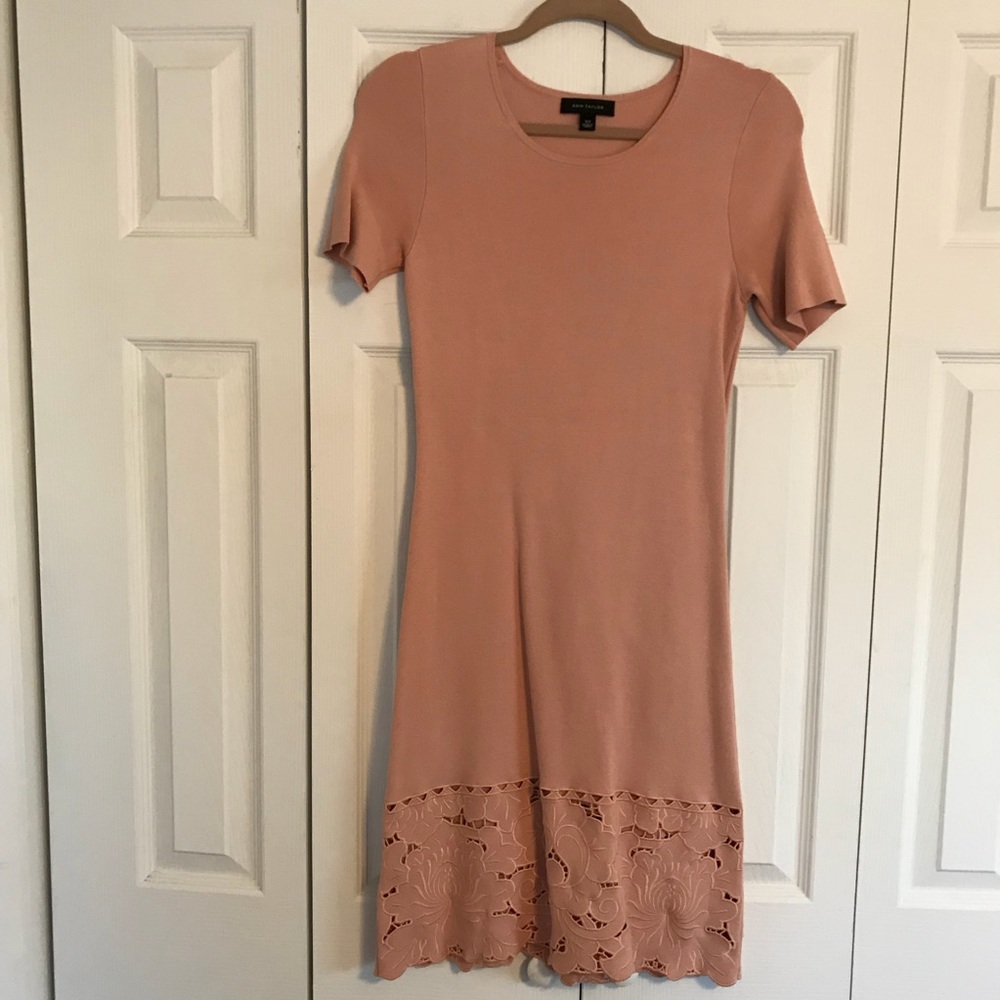 Anna Taylor Blush Dress XS